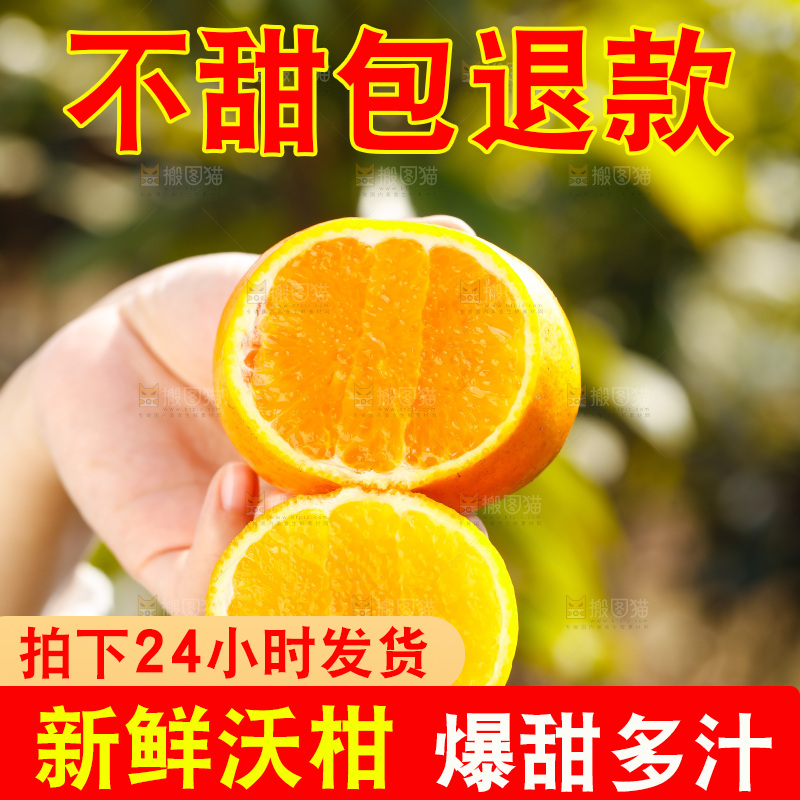 手里拿着沃柑