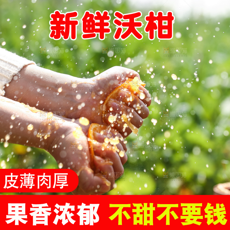 手里拿着新鲜沃柑