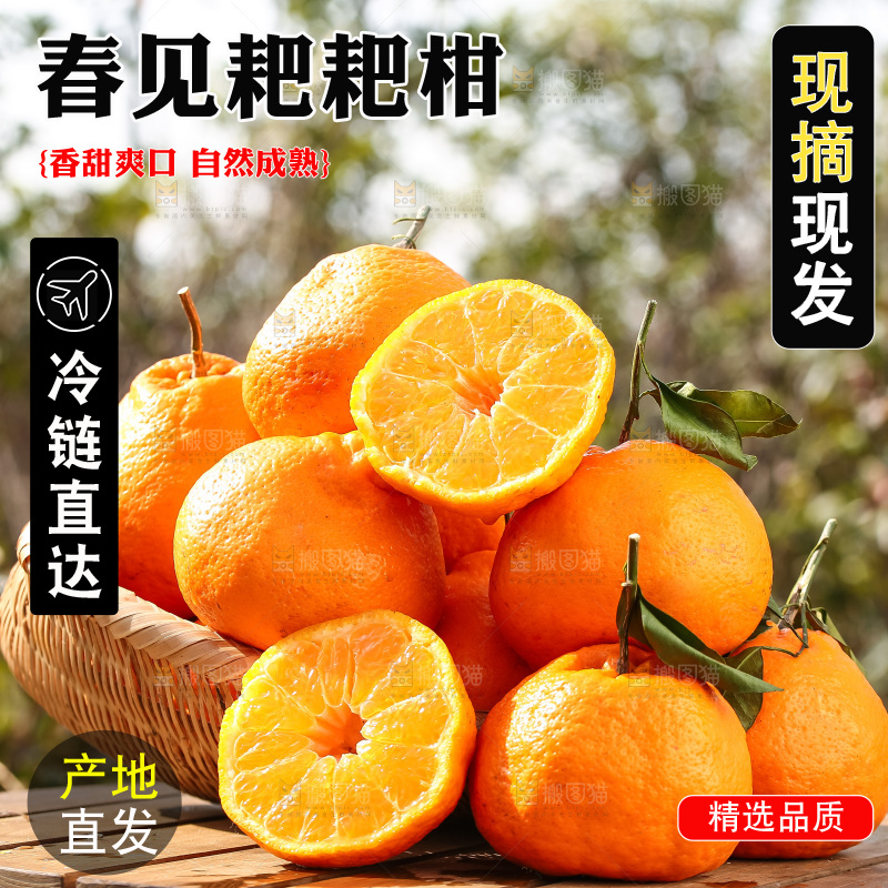 草地上的耙耙柑