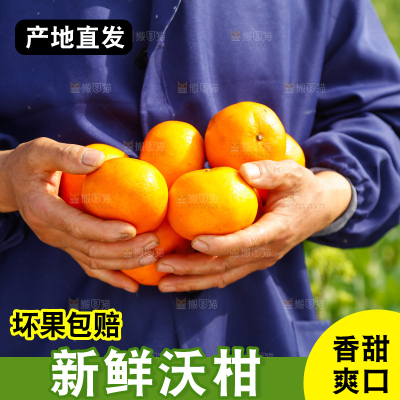 手里拿着沃柑