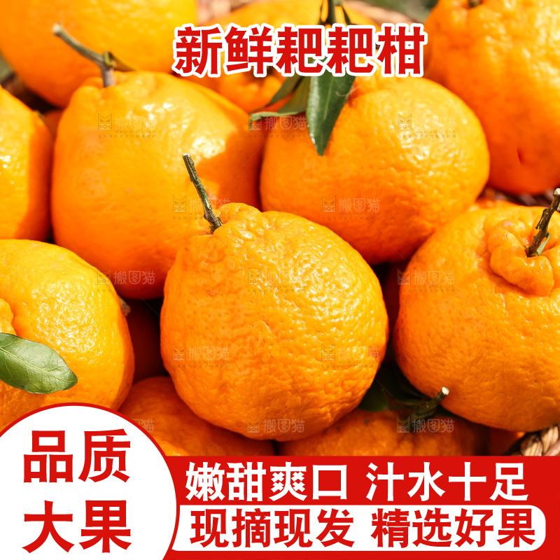 草地上的耙耙柑