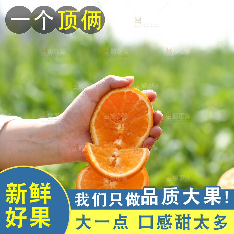 手里拿着新鲜沃柑