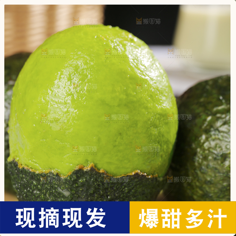 浅底上的巨无霸牛油果