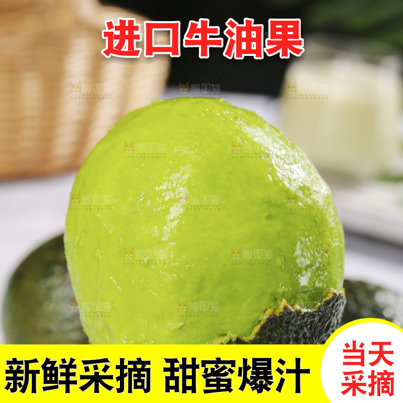 浅底上的巨无霸牛油果