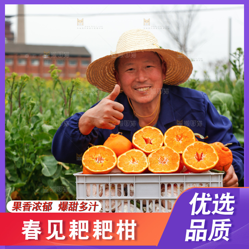手里拿着耙耙柑