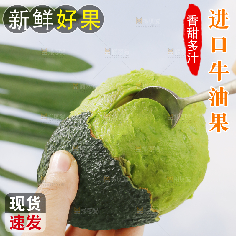 浅底上的巨无霸牛油果
