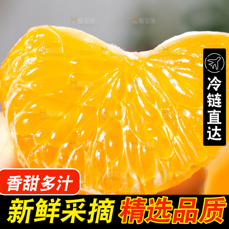 浅底上的橘柚