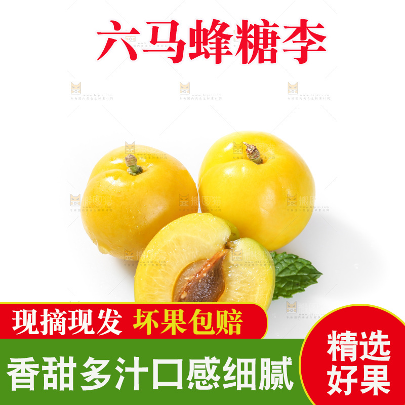 白底上的蜂糖李