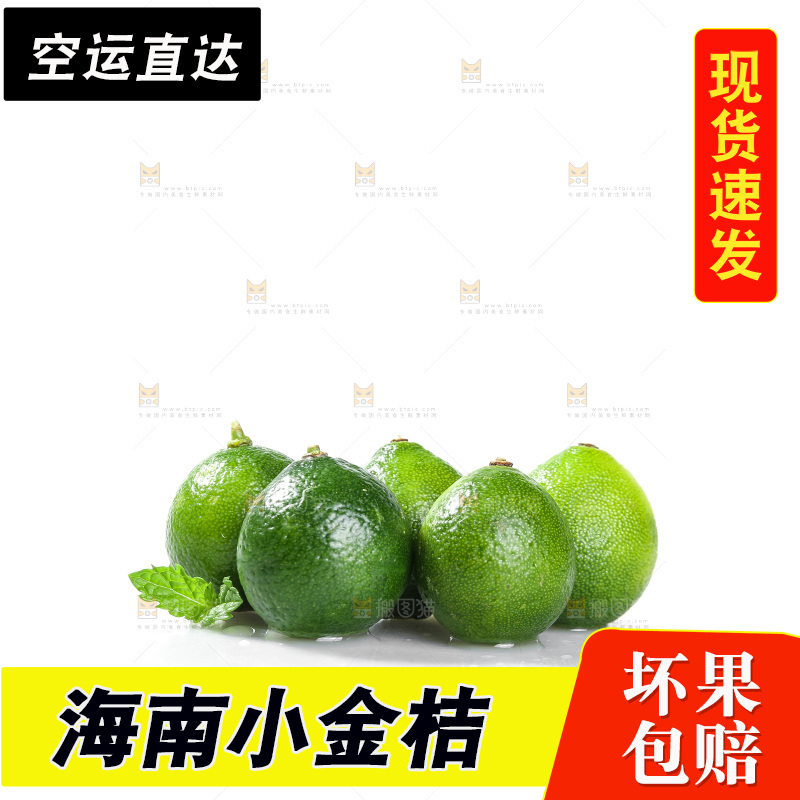 白底上的小金桔