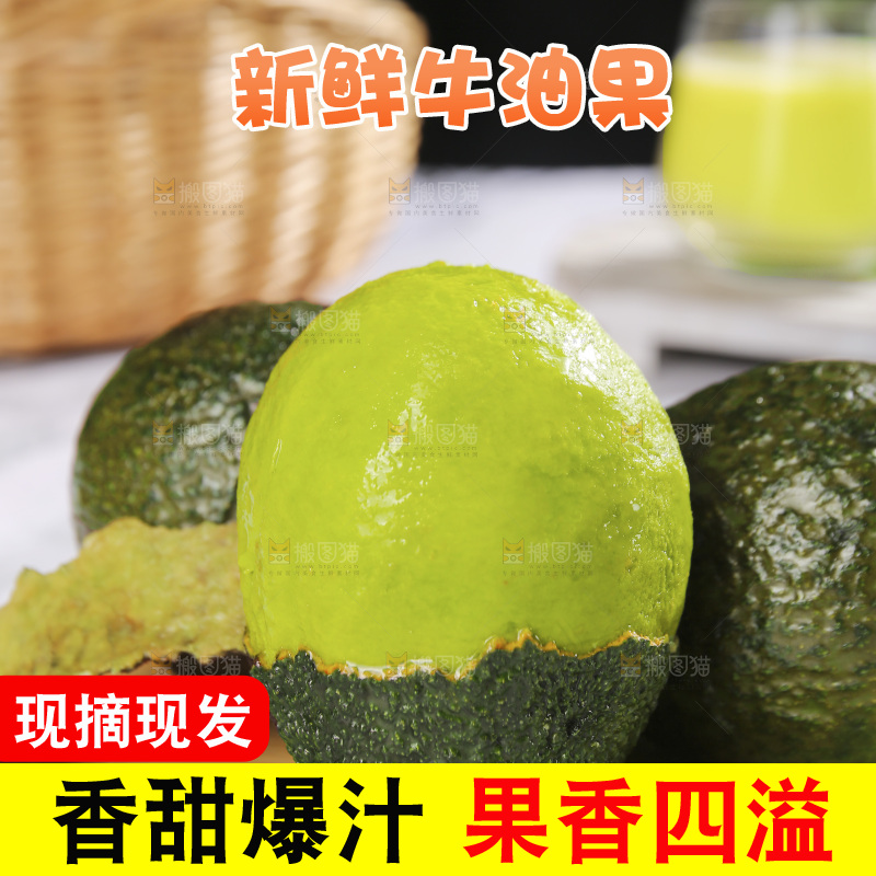 浅底上的巨无霸牛油果