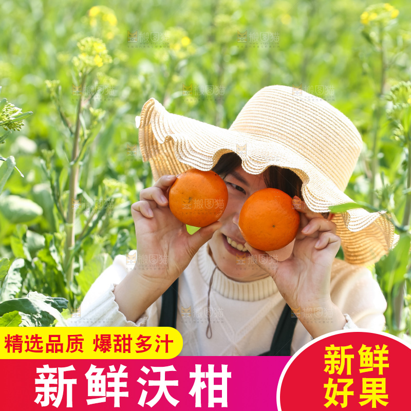 手里拿着新鲜沃柑