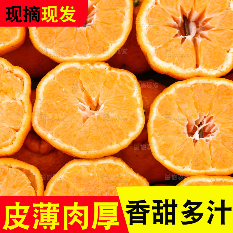 手里拿着丑八怪