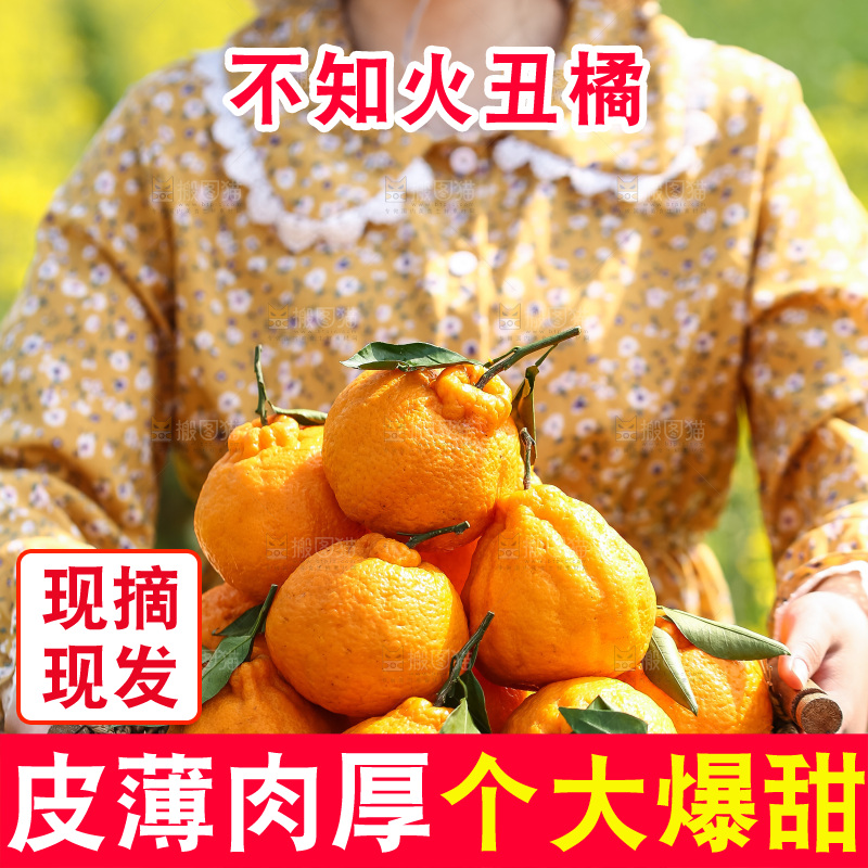 手里拿着丑八怪
