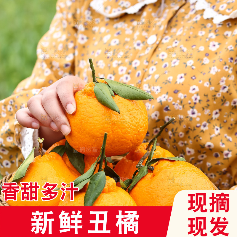 手里拿着丑八怪