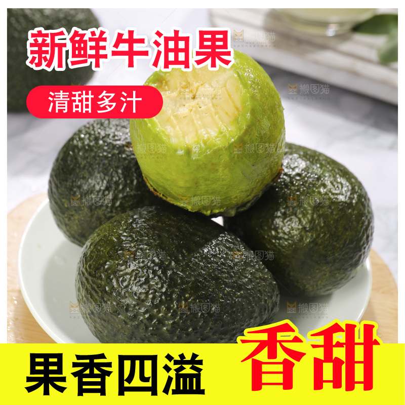 浅底上的巨无霸牛油果