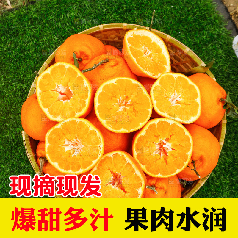 手里拿着耙耙柑