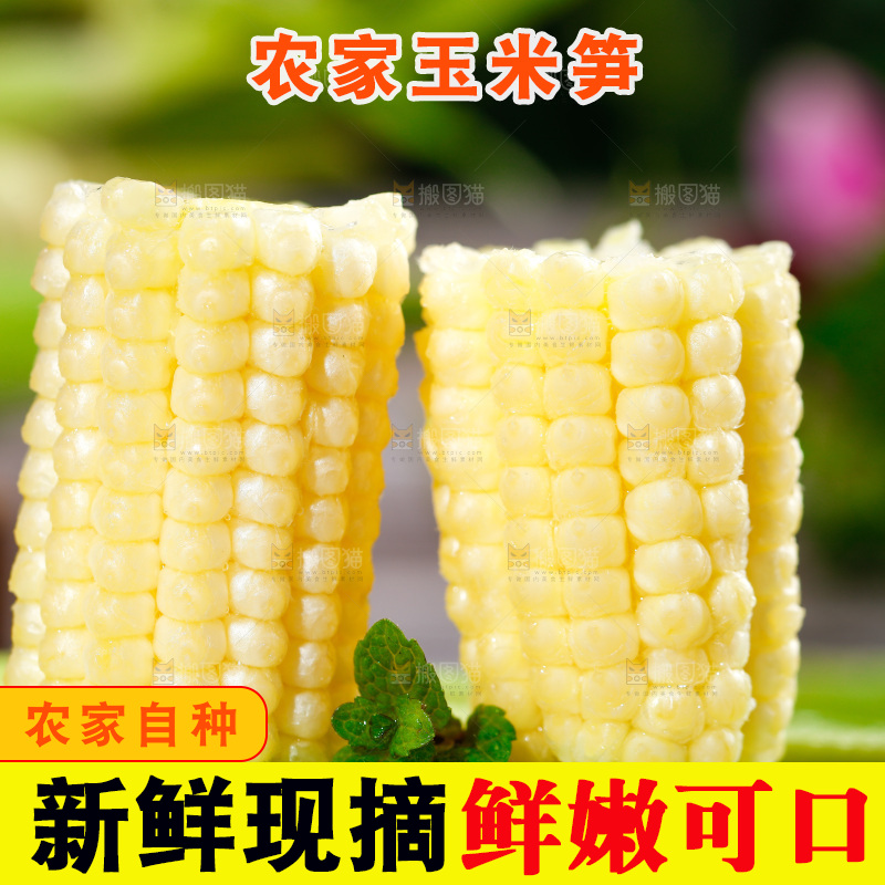 深底上的玉米笋