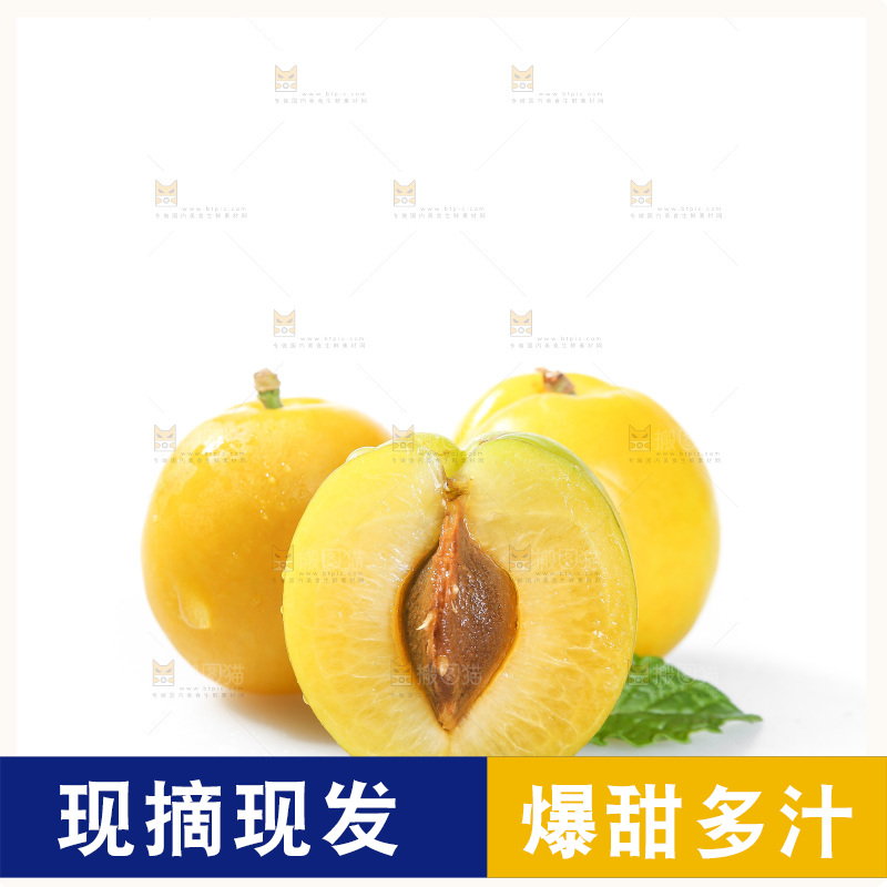 白底上的蜂糖李