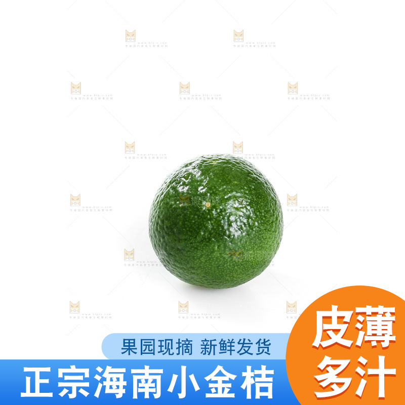 白底上的小金桔