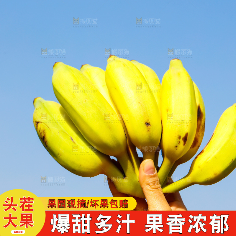 手里拿着广西芭蕉