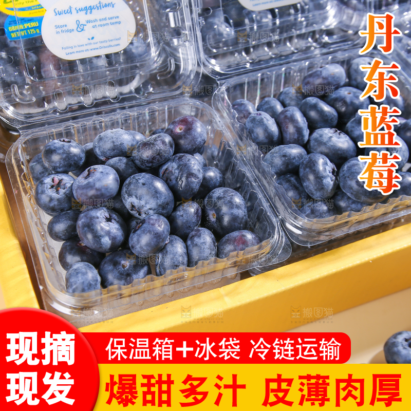 浅底上的新鲜蓝莓