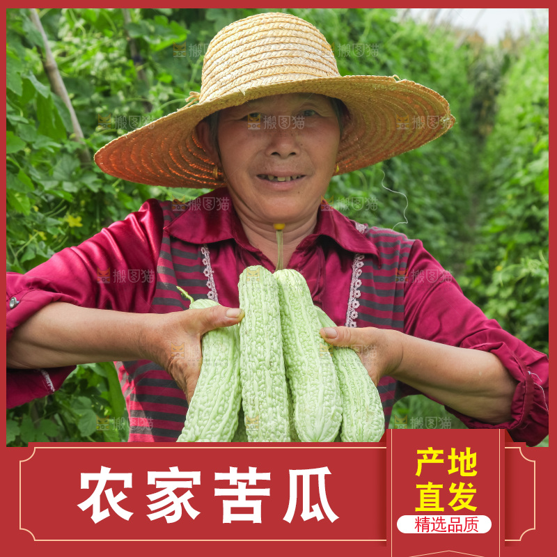 手里拿着新鲜苦瓜