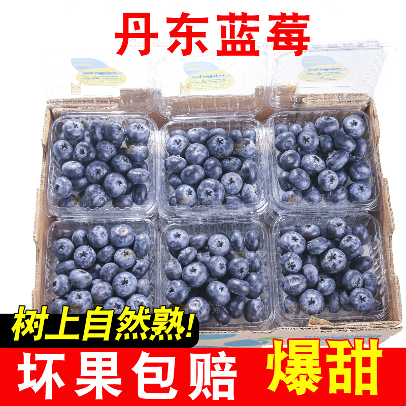 白底上放着的新鲜蓝莓