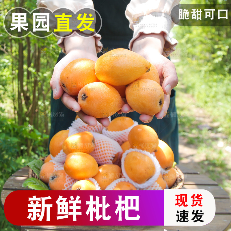 手里捧着大枇杷