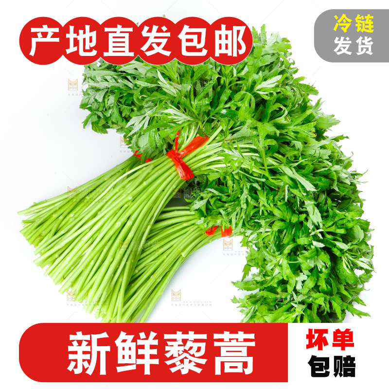 白底上放着藜蒿