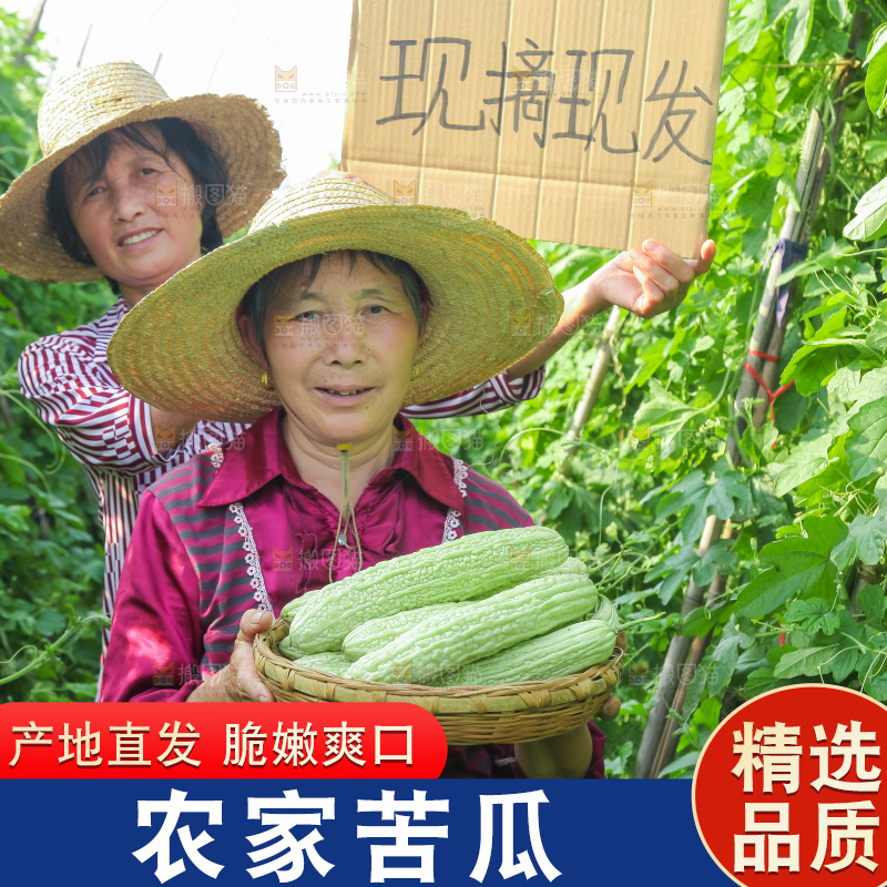 手里拿着新鲜苦瓜