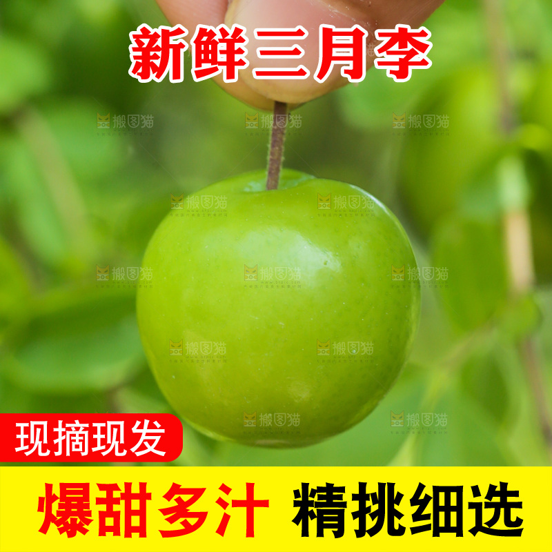 手里拿着青脆李