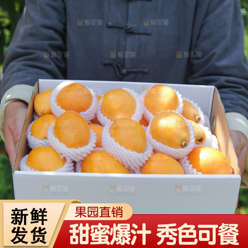 手里端着一箱五星枇杷