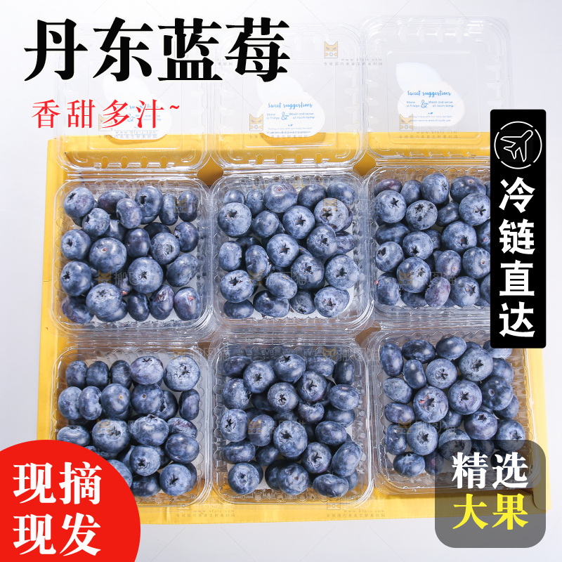白底上放着的新鲜蓝莓
