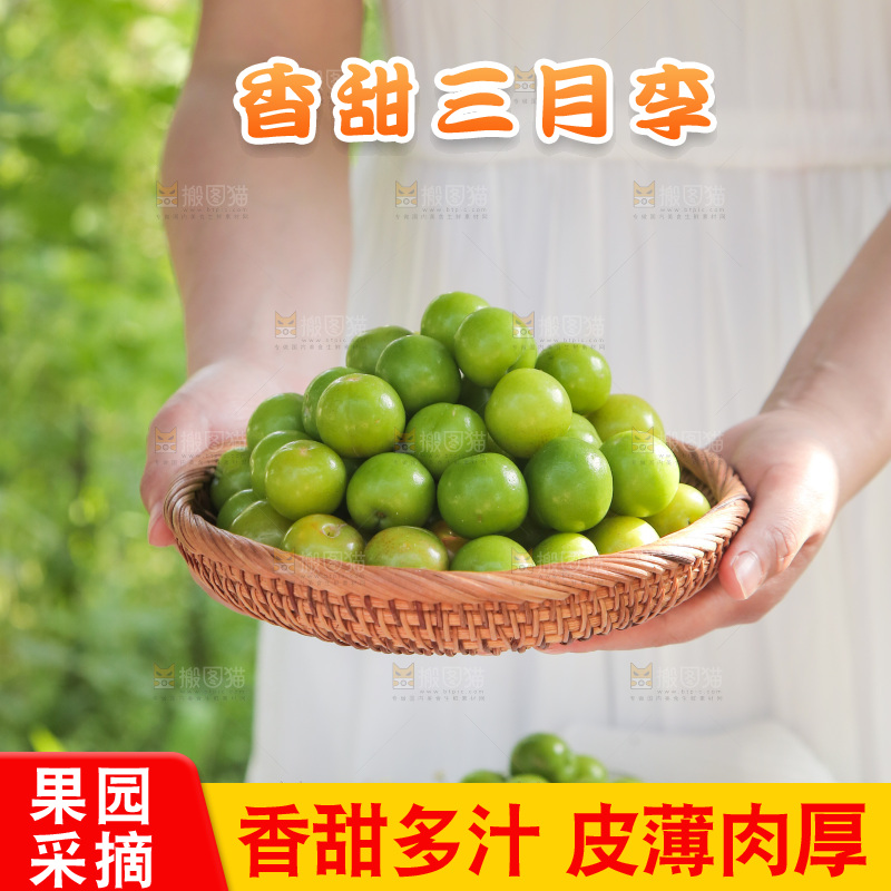 手里端着一篮青脆李