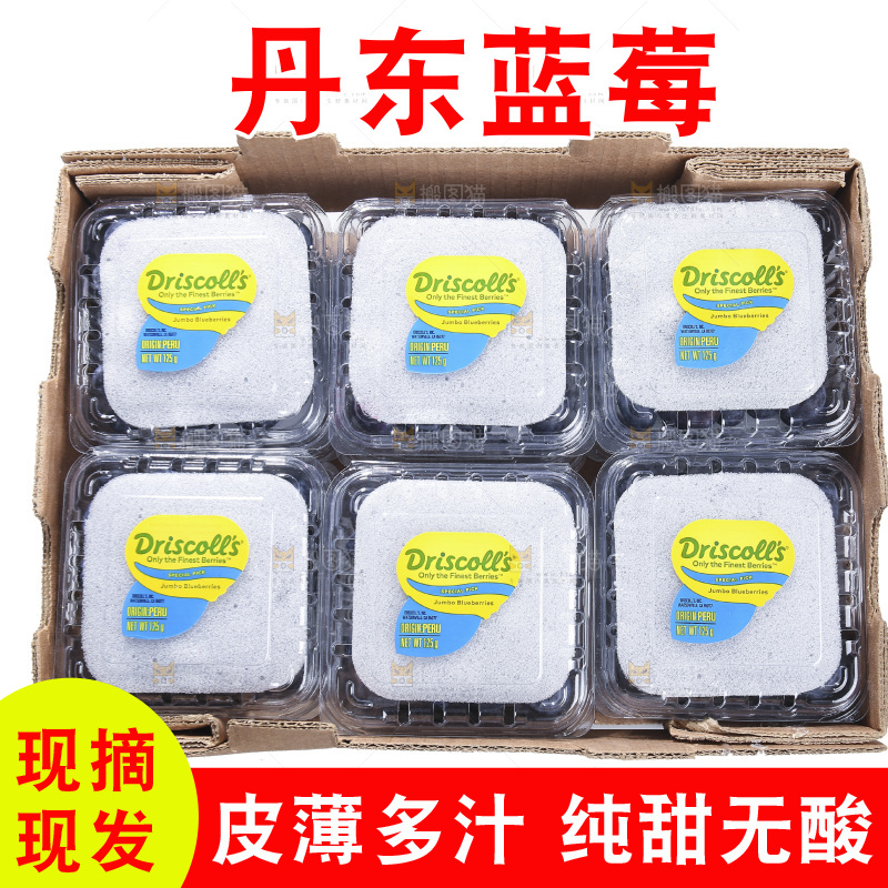 白底上放着的新鲜蓝莓