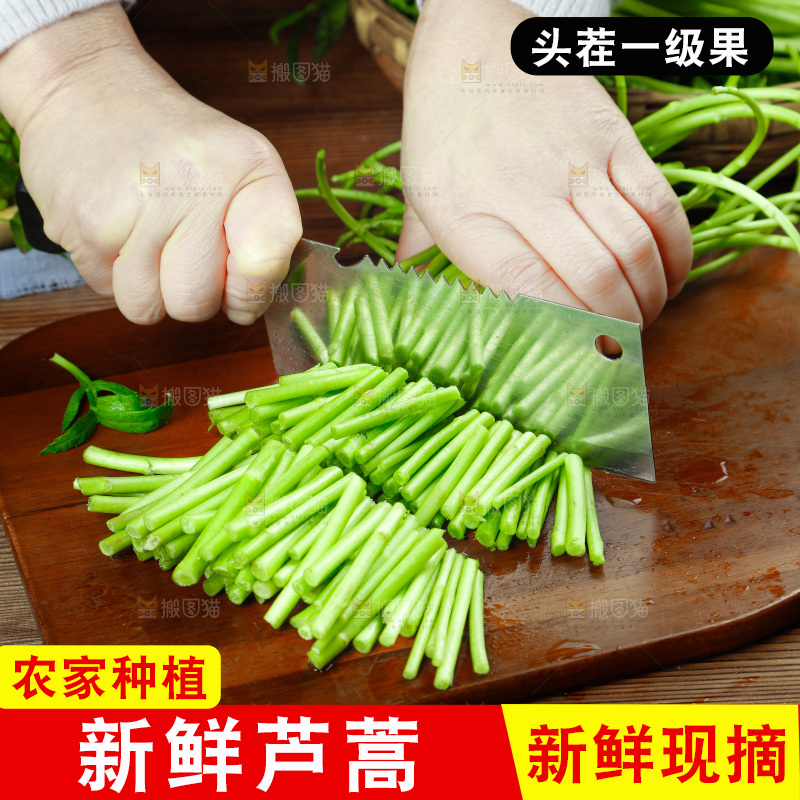 木底上的江西藜蒿