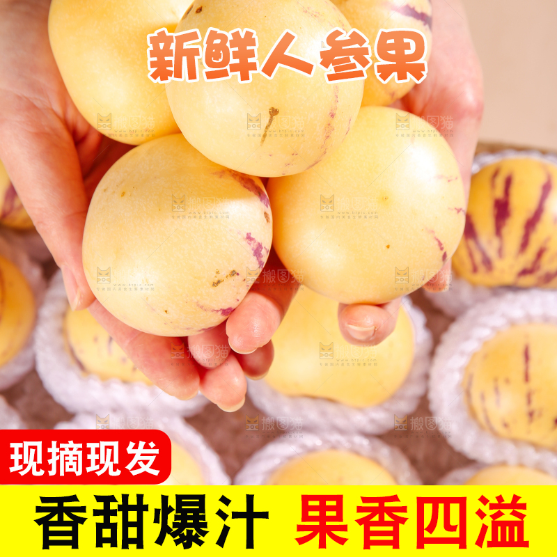 礼品盒里的人参果