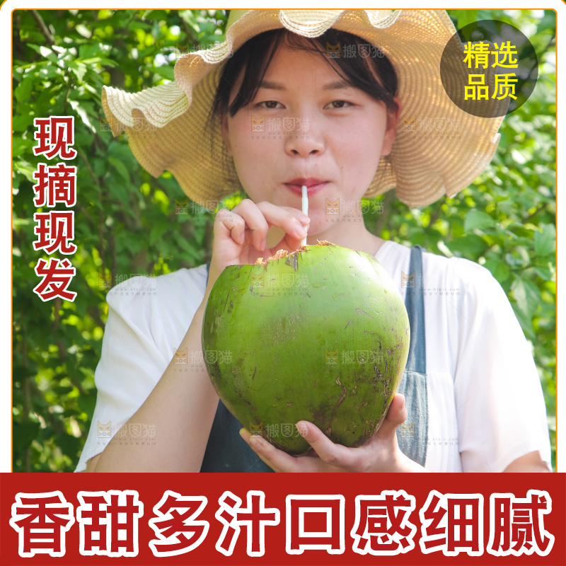 女孩喝着椰子汁