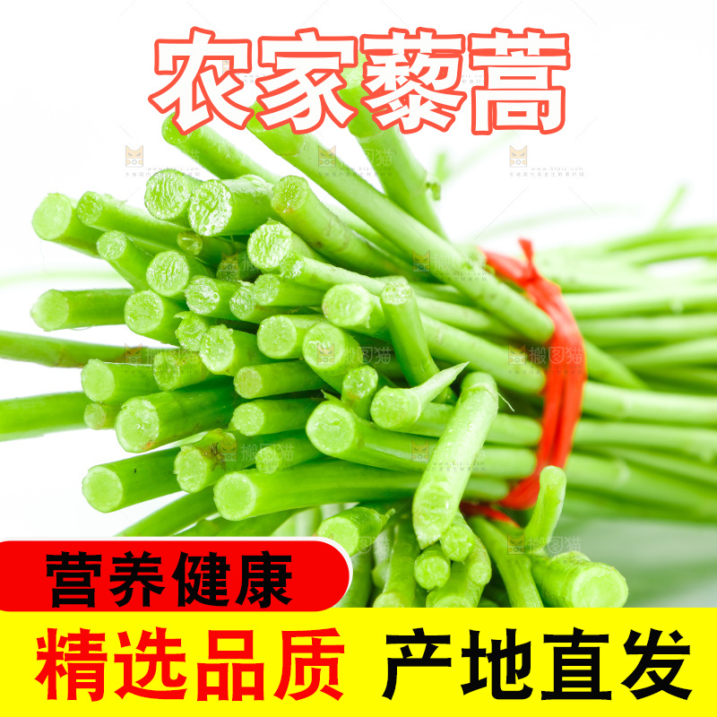 白底上放着藜蒿