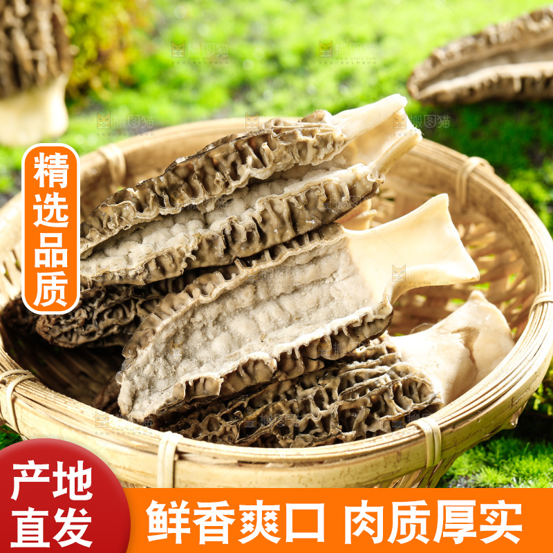 草地上的羊肚菇
