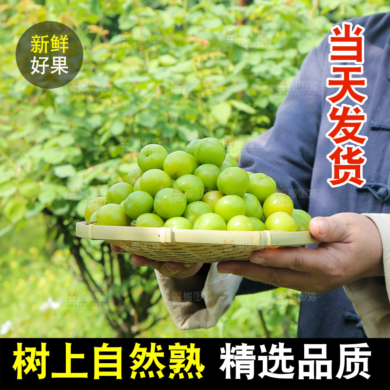 手里端着一篮三月李