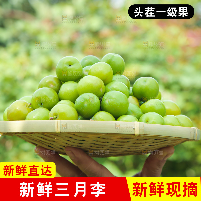 手里端着一篮三月李
