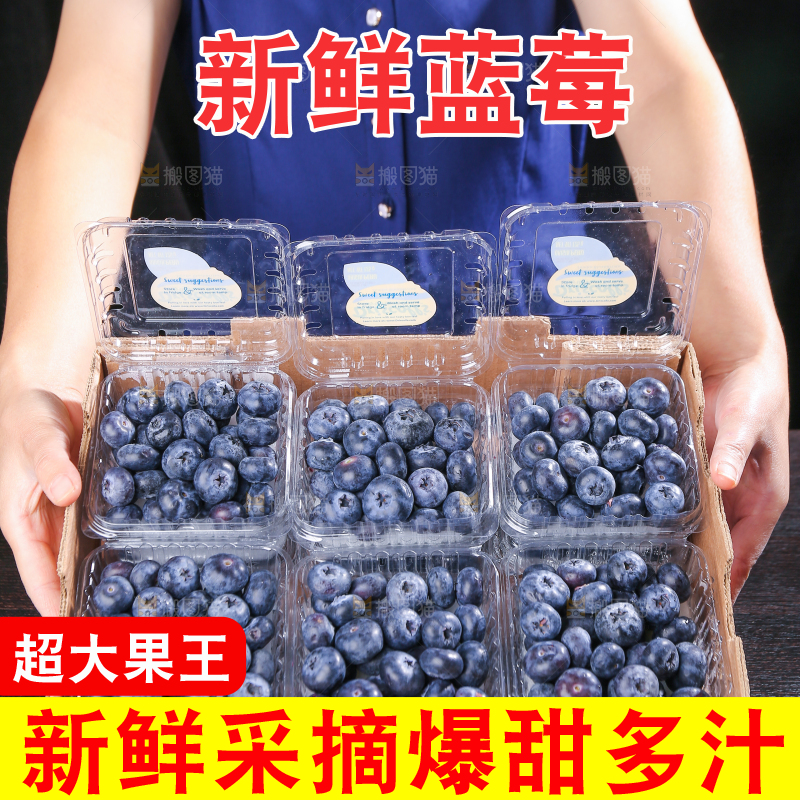 黑底上摆着的新鲜蓝莓