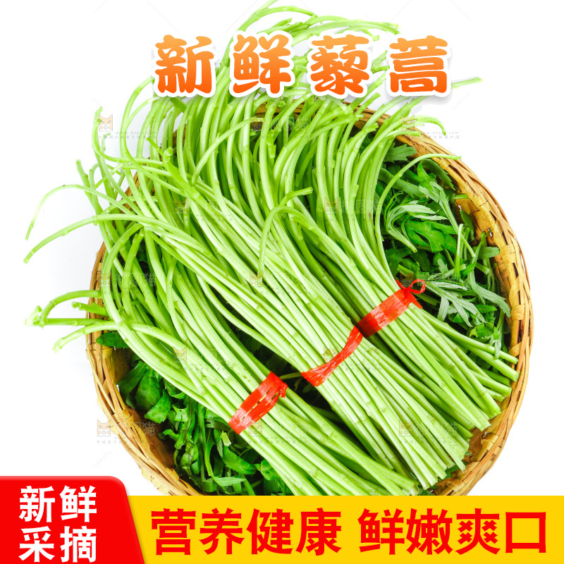 白底上放着藜蒿
