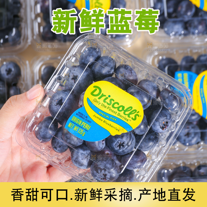 浅底上的新鲜蓝莓