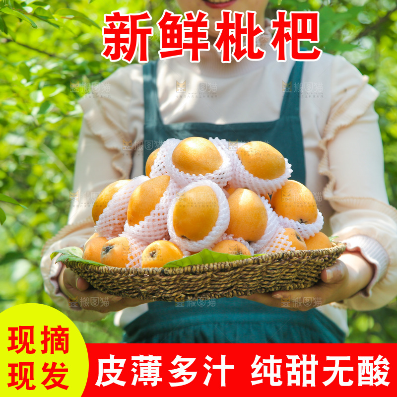 手里端着一篮云南大五星枇杷