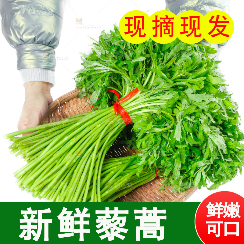 白底上放着藜蒿