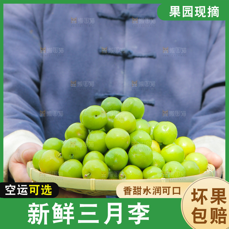 手里端着一篮青脆李