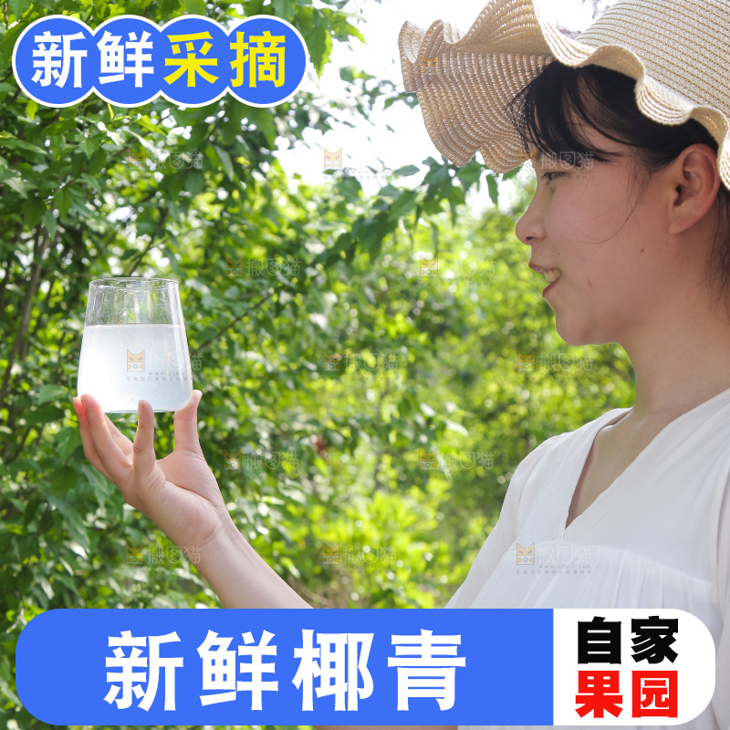 女孩手里拿着椰子汁