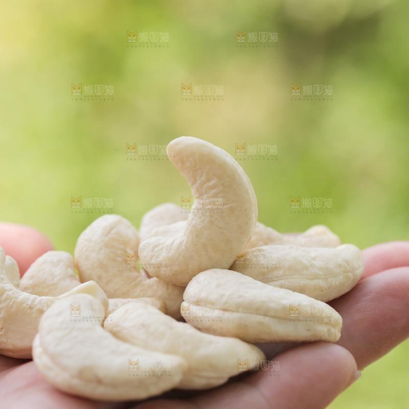 手里拿着腰果仁